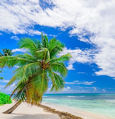 Caribbean Travel Deals